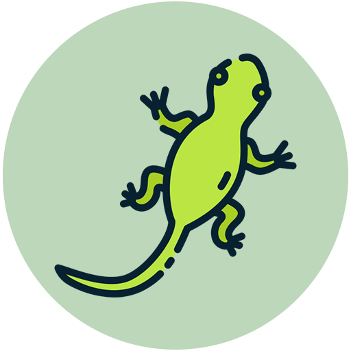 a5