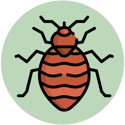 a9